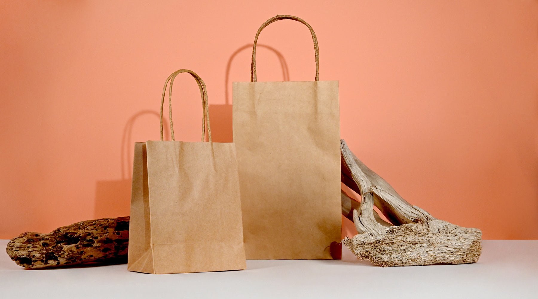Kraft Paper Bags  Flat & Twisted Handle Paper Bags - ANS Plastics Corp