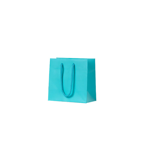 Image of Aqua Matte Carry Bags - Extra Small