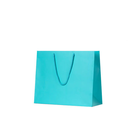 Image of Aqua Matte Carry Bags - Medium