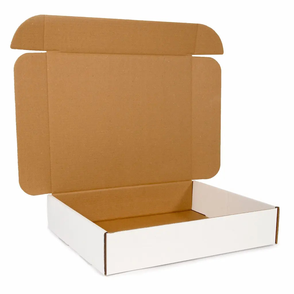 empty white and brown mailing box | NEON packaging