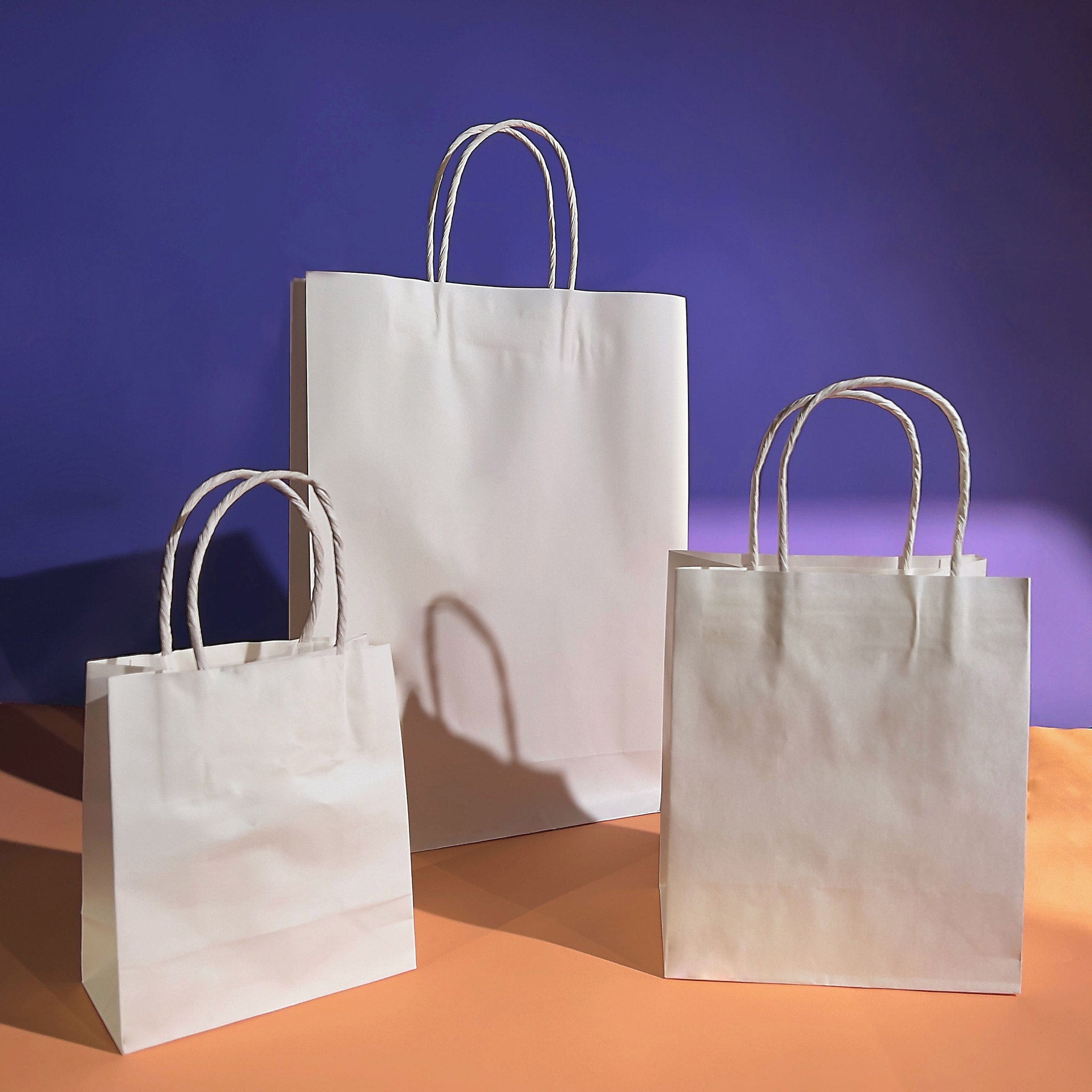 White Kraft Paper Bag - Small Portrait sizes 