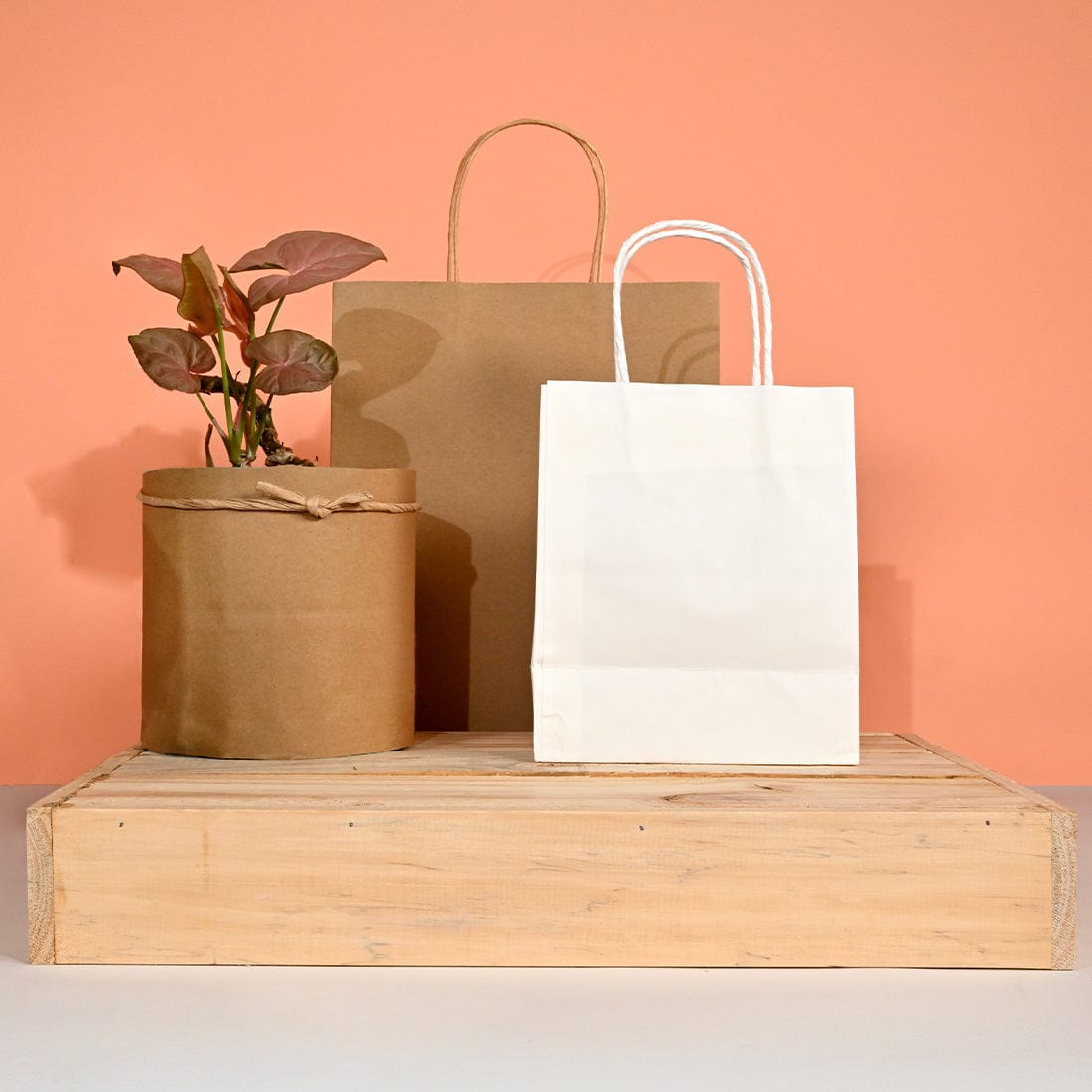 kraft paper bags brown and white